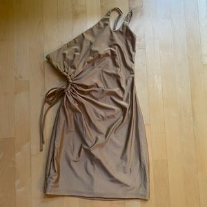 Bronze Tight Dress